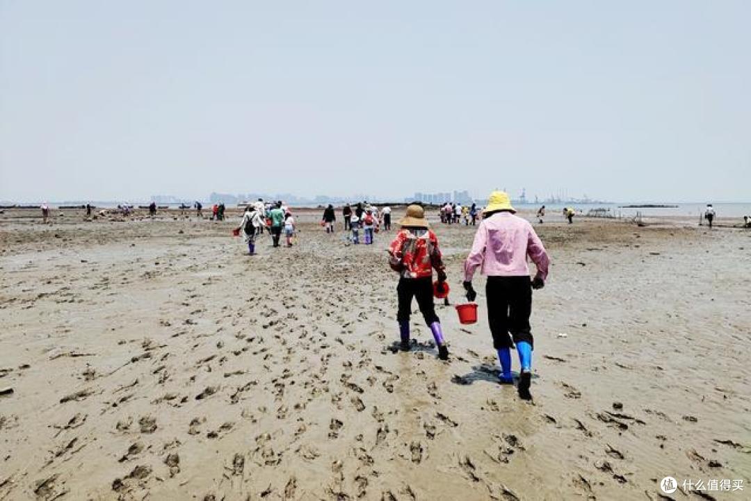 两天一夜的厦门之旅,这次不去人潮拥挤的鼓浪屿