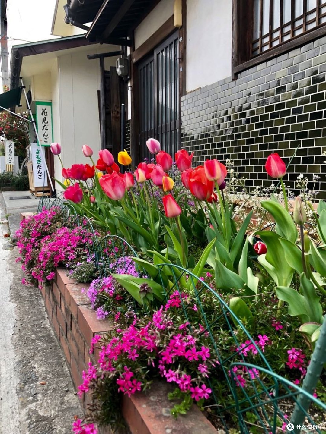 确认过手感，这花是真花