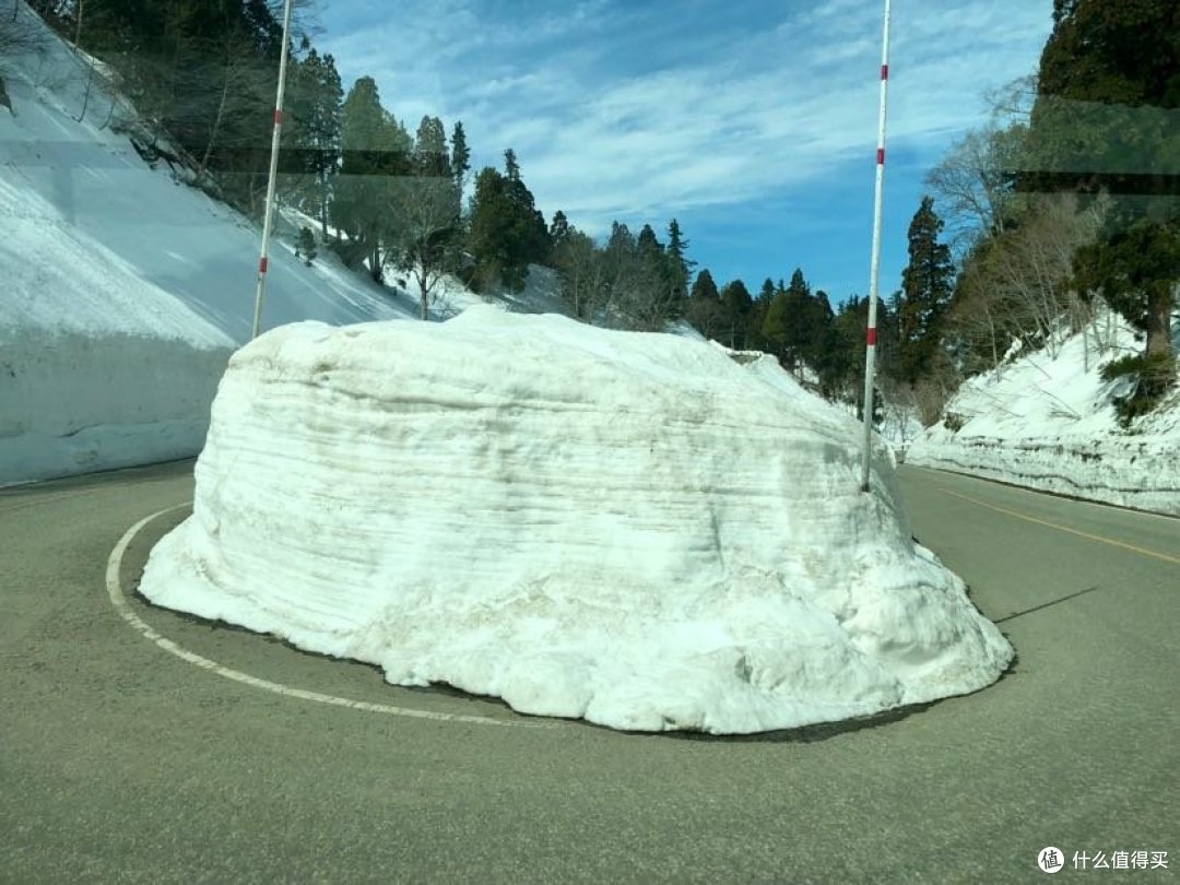 看到这雪简直不要太幸福