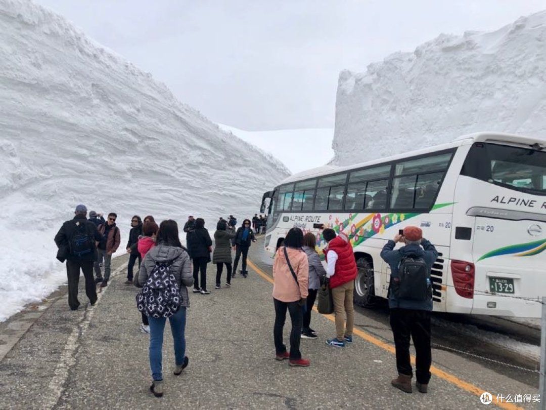 【关西晚樱+雪之大谷】平成最后的樱花，盛开在四月中旬