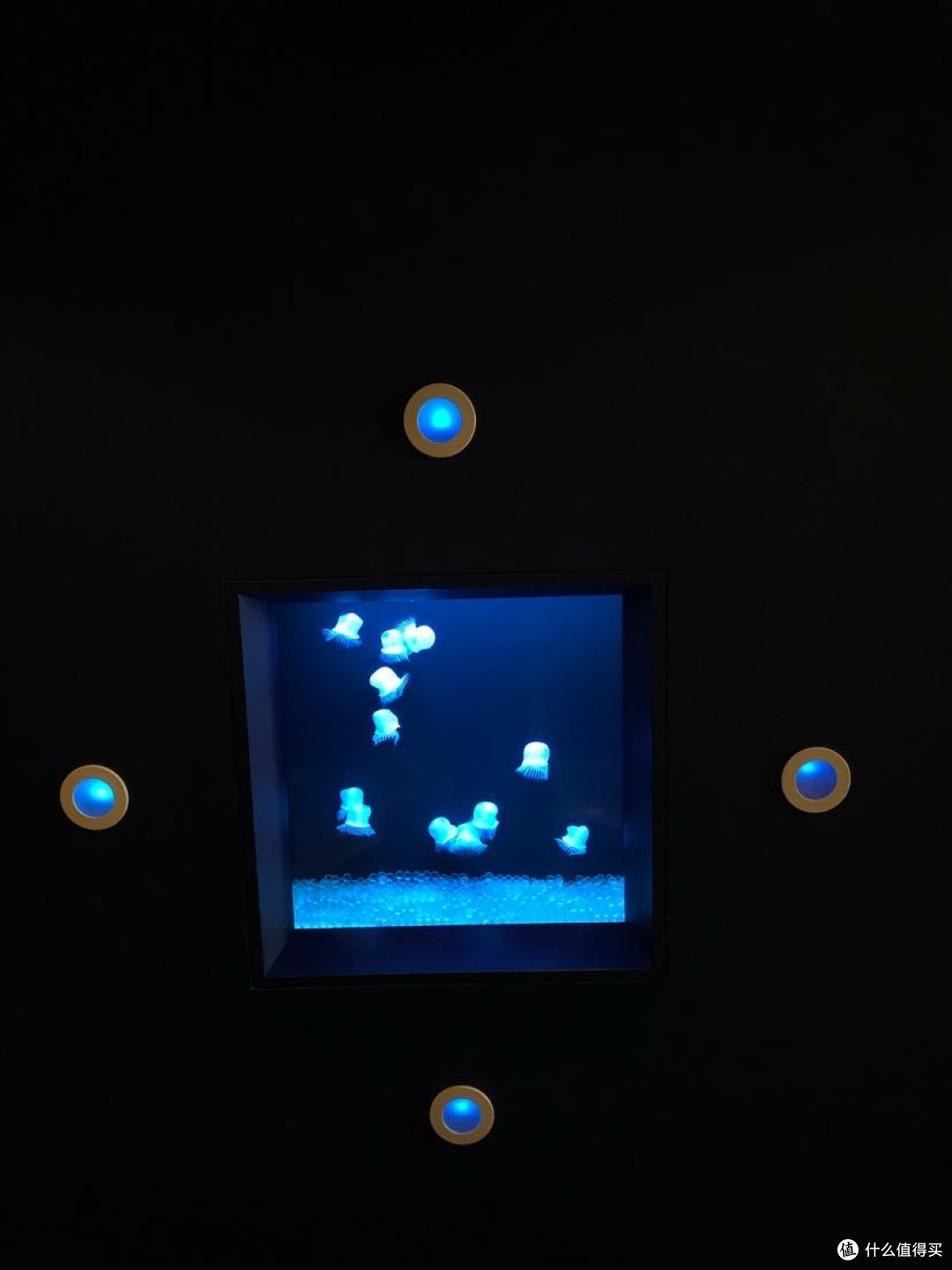 电梯厅的水母箱