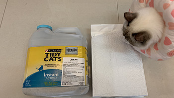 铲屎官的新选择：雀巢普瑞纳 TIDY CATS泰迪 即效除臭型猫砂 使用体验