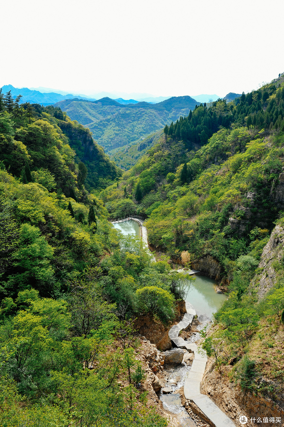 山東老牌