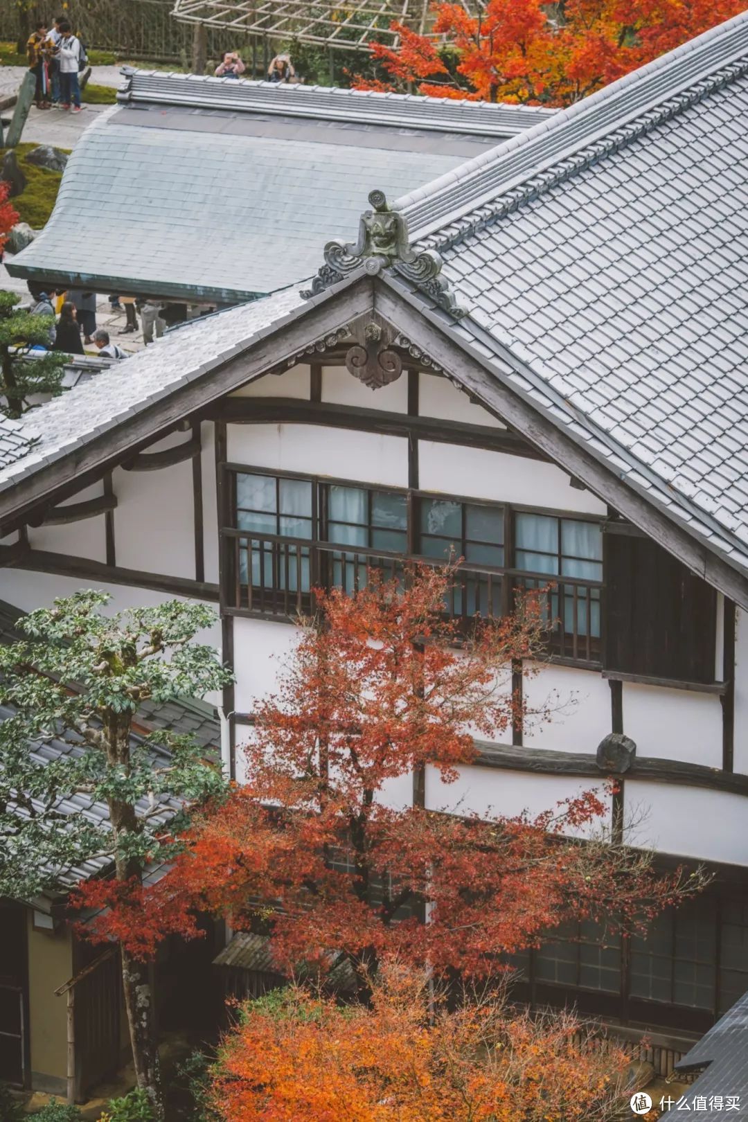 日本京都赏枫季，顺便打卡最新米其林餐厅！