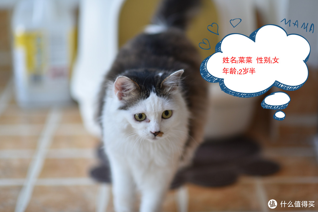 高效除臭——小试普瑞纳Tidy Cats猫砂 (=^_^=)