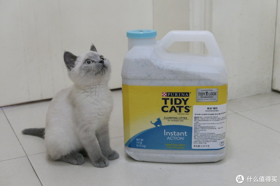做三只猫的铲屎官，除了勇气你还需要：雀巢普瑞纳 TIDY CATS 即效除臭猫砂