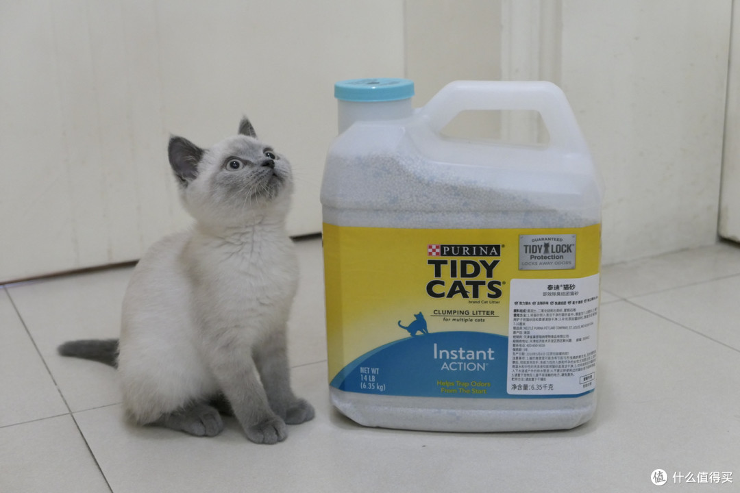 做三只猫的铲屎官,除了勇气你还需要:雀巢普瑞纳 TIDY CATS 即效除臭猫砂