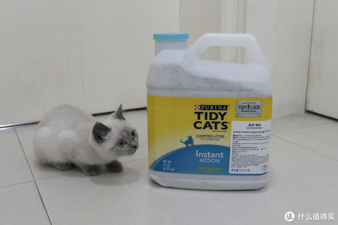 做三只猫的铲屎官，除了勇气你还需要：雀巢普瑞纳 TIDY CATS 即效除臭猫砂