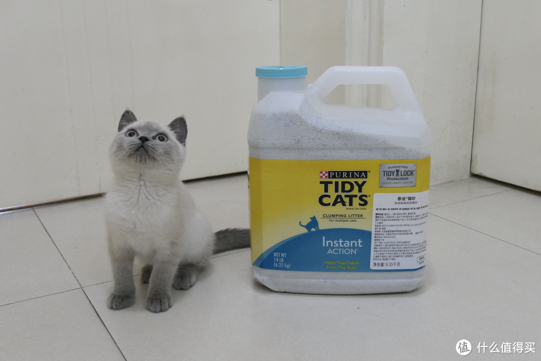 做三只猫的铲屎官，除了勇气你还需要：雀巢普瑞纳 TIDY CATS 即效除臭猫砂