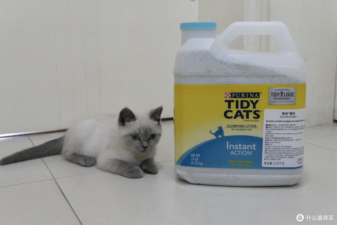 做三只猫的铲屎官,除了勇气你还需要:雀巢普瑞纳 TIDY CATS 即效除臭猫砂