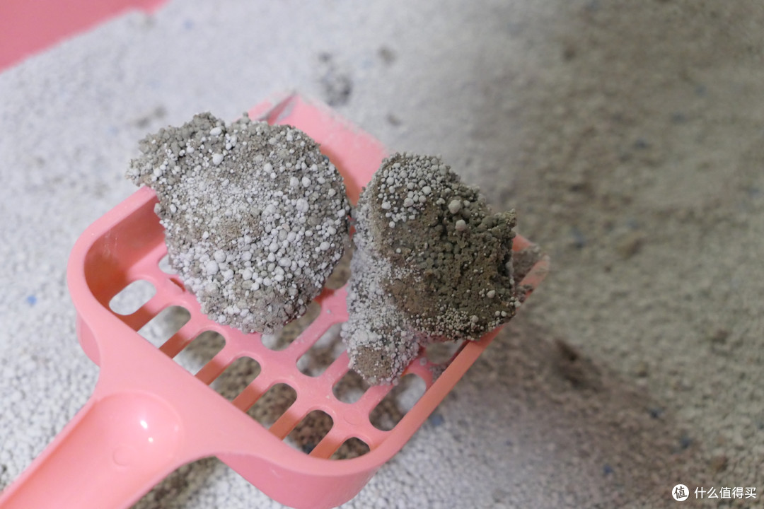 做三只猫的铲屎官,除了勇气你还需要:雀巢普瑞纳 TIDY CATS 即效除臭猫砂