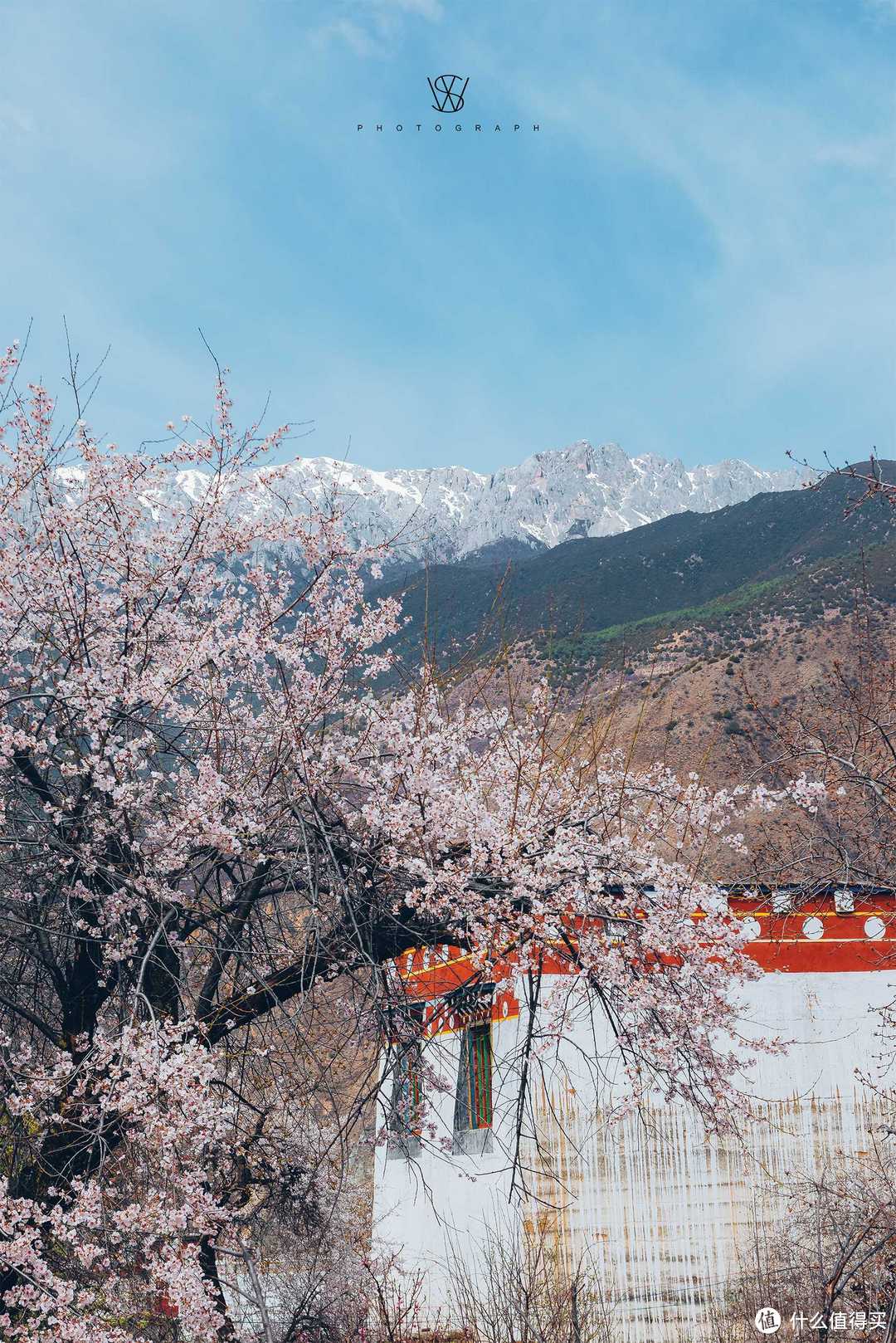 ​ 拍耍游记 | 从巴姆神山路过 摩挲香巴拉之春