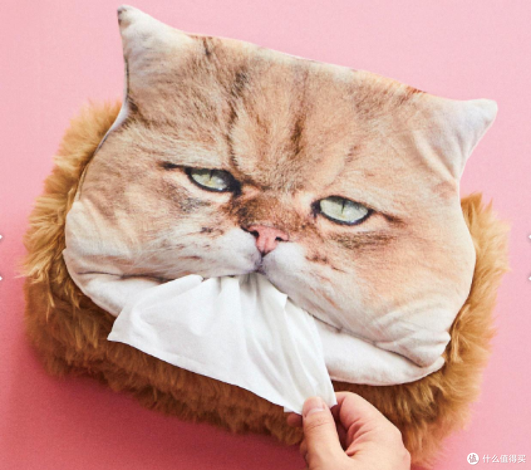 猫咪纸巾盒