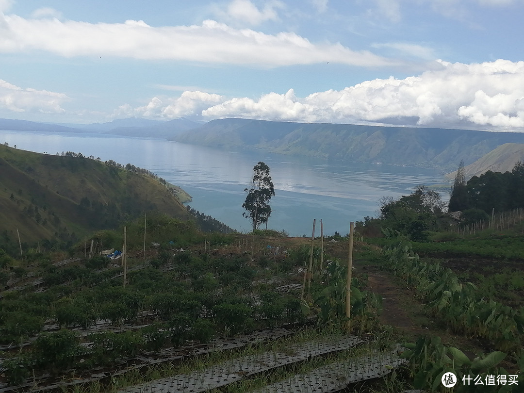 Lake Toba多巴湖