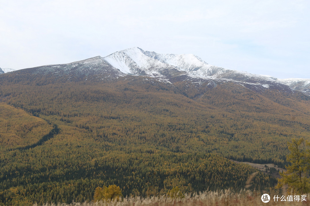 阿勒泰山区