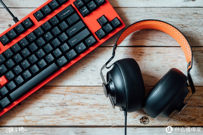 种猫草 篇九:电竞少女的新装备--骨伽Phontum 