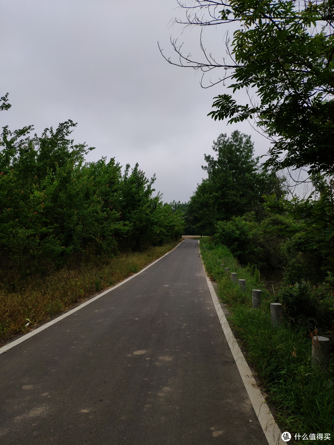 住木屋、滑草、射箭、越野卡丁车，一家人在滁州明光八岭湖的周末度假时光