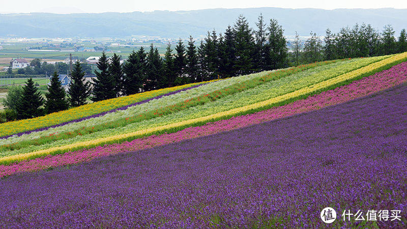 第一次玩日本北海道你会去哪个区，这些区有哪些热门景点需要打卡