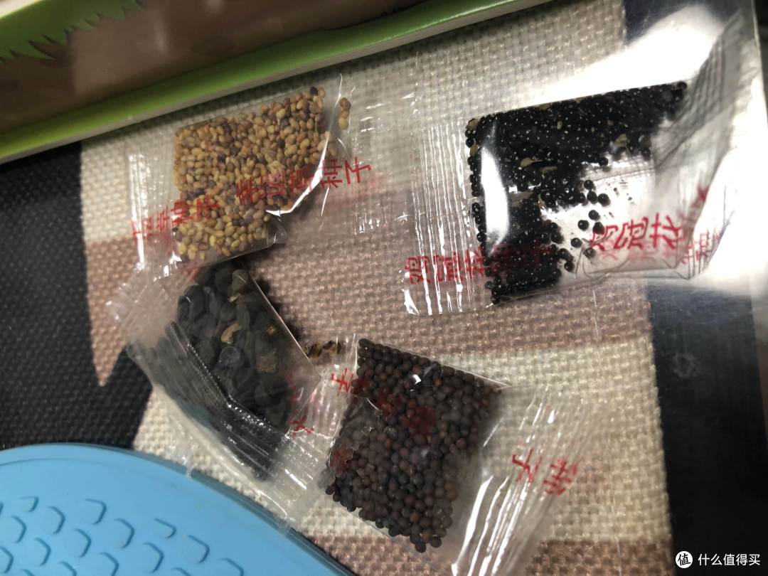 六一玩什么?适合亲子互动的立体拼图种植农场,在家也能种菜收获
