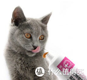 猫用营养膏哪个牌子好?2019排行榜首