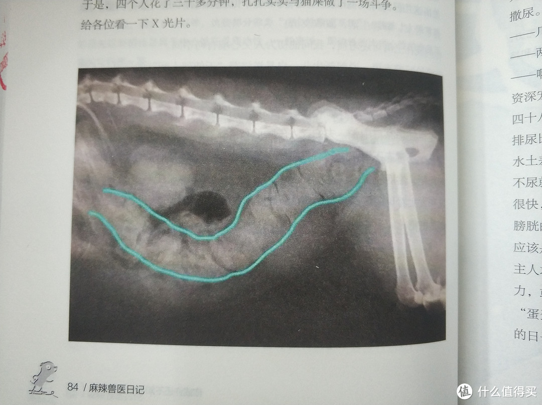 图书馆猿の2019读书计划40：《麻辣兽医日记》