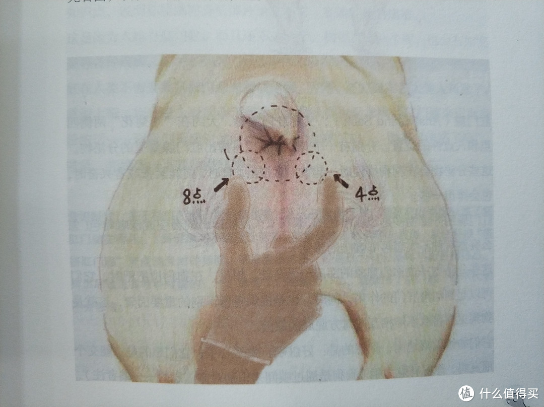 图书馆猿の2019读书计划40：《麻辣兽医日记》