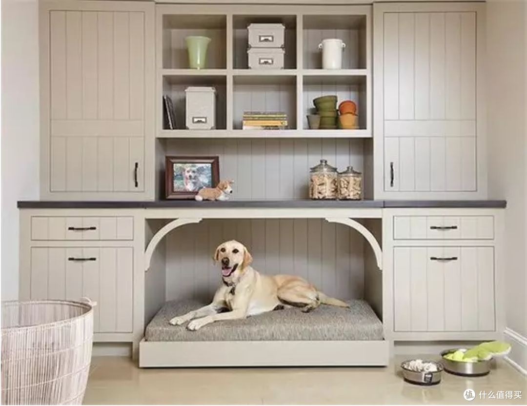 宠物的家这么设计狗狗过起来比人还好