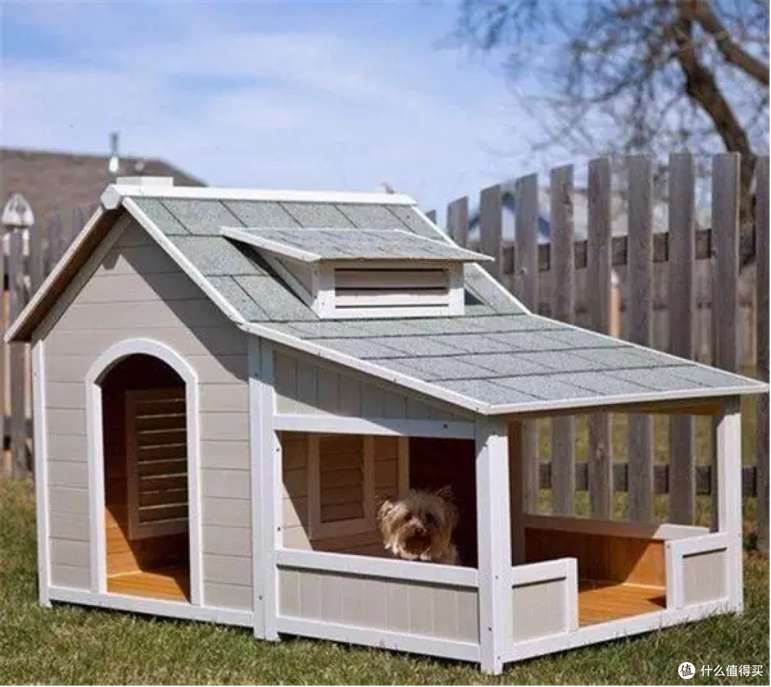宠物的家这么设计狗狗过起来比人还好