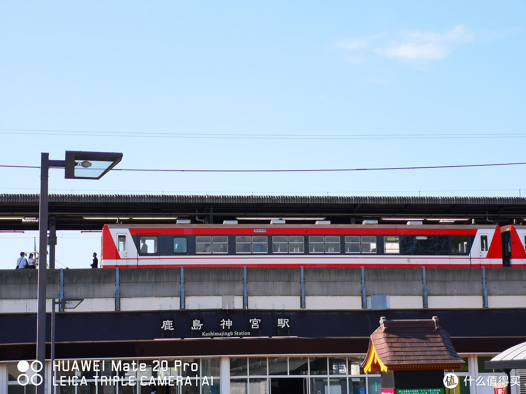 笠间八重藤花，鹿岛神宫