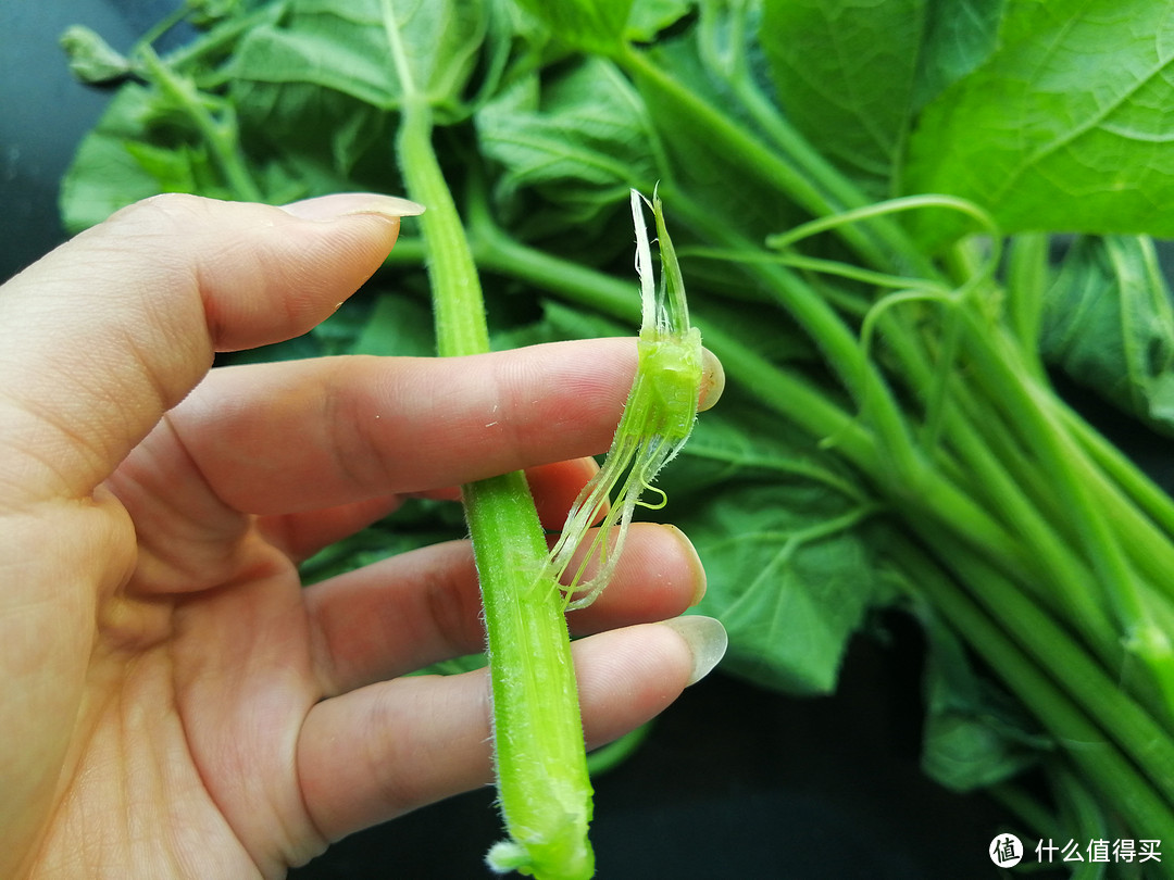 当村里的小芳遇上国际来的植蛋哥，能碰撞出什么样的火花？