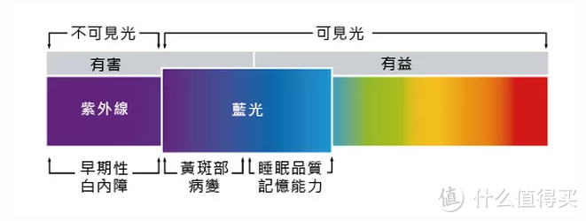 【科普】眼睛也会“见光死”？生活中对眼睛有害的光线大揭秘，不得不防！