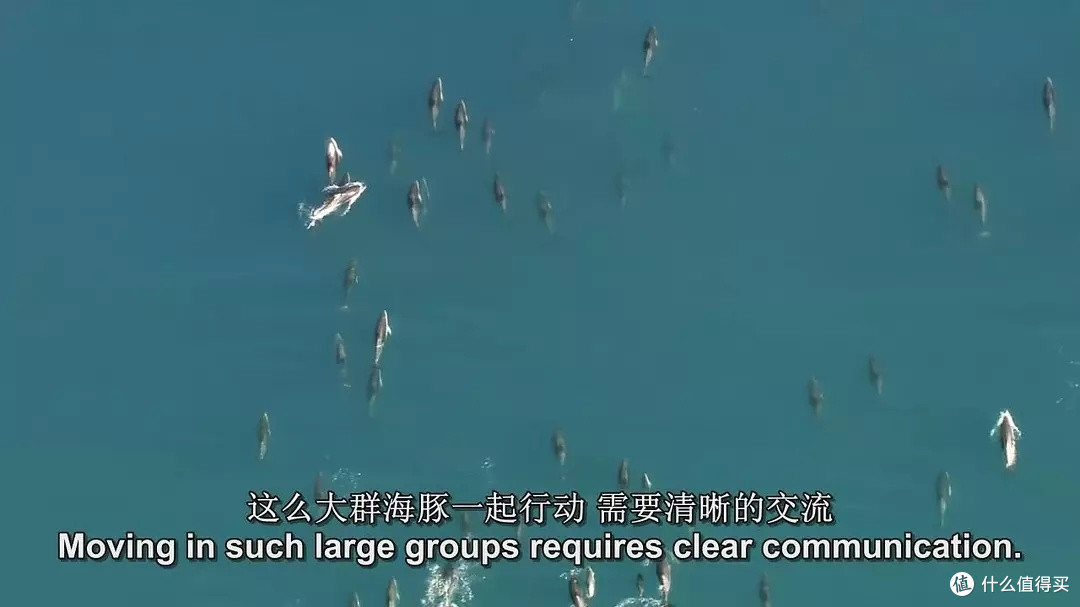 万字长文推荐22部好看的纪录片，精彩不容错过！