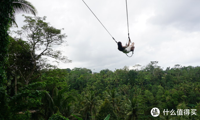 为了在乌布丛林大秋千Bali swing拍照，你会拖着男票去排4h队吗