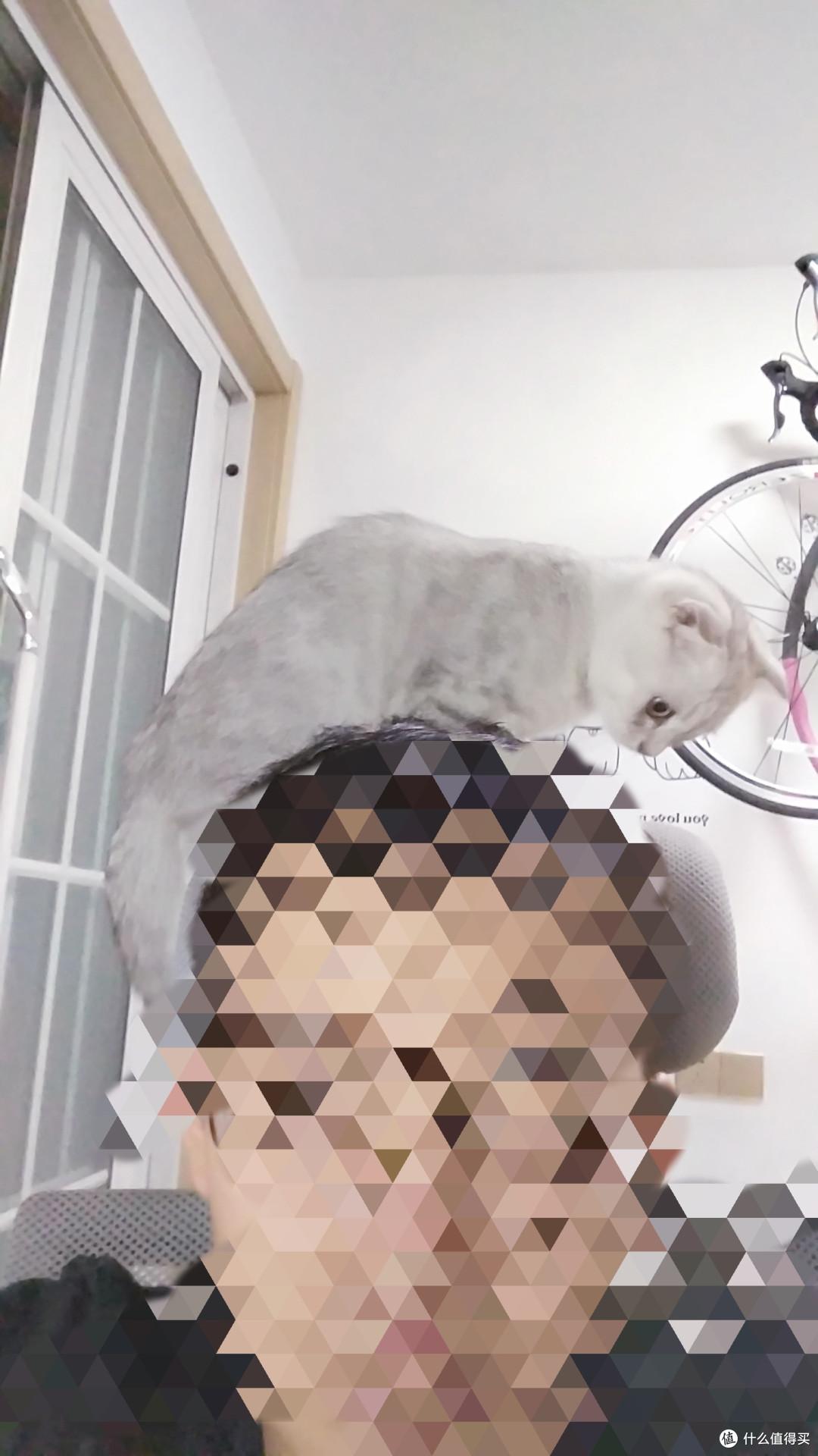 陪我加班1