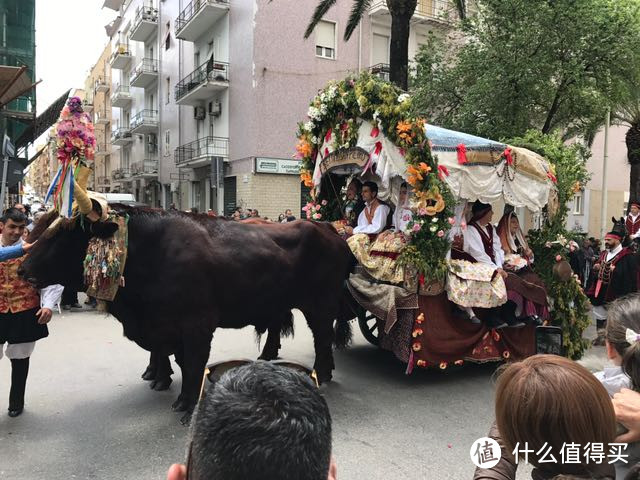 这俩牛真的很壮