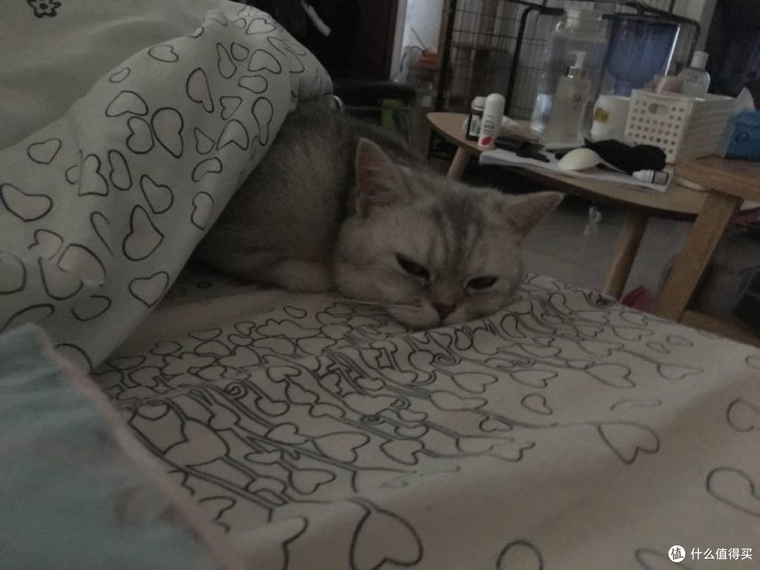 不客气