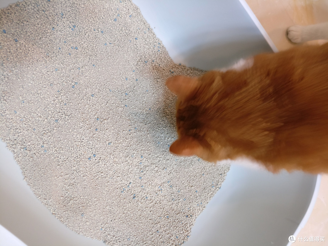 强力除臭降低铲屎官呼吸负担——雀巢普瑞纳 TIDY CATS泰迪 即效除臭型猫砂体验