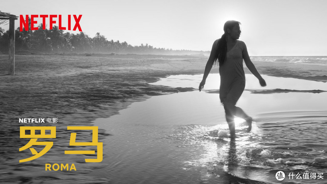 第91届奥斯卡金像奖 (2019)