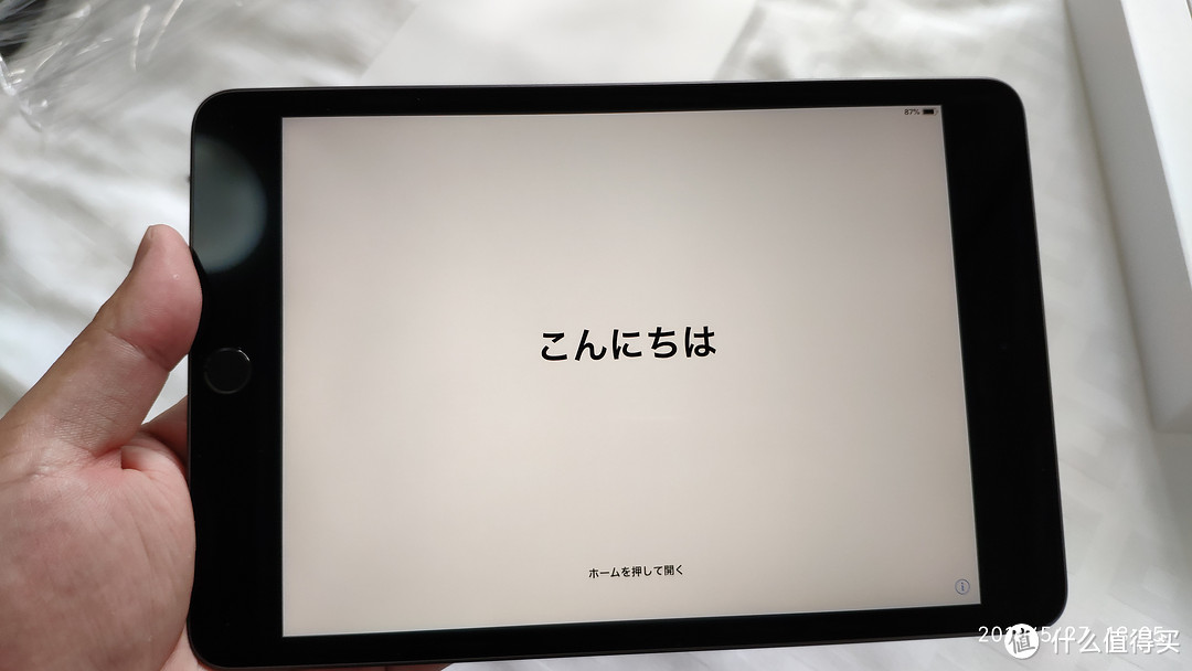 拼多多2329iPadmini5安全下车,年轻人第一部苹果设备