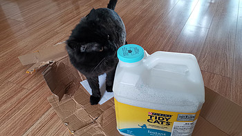 轻松无异味——雀巢普瑞纳 TIDY CATS泰迪 即效除臭型猫砂简单测评