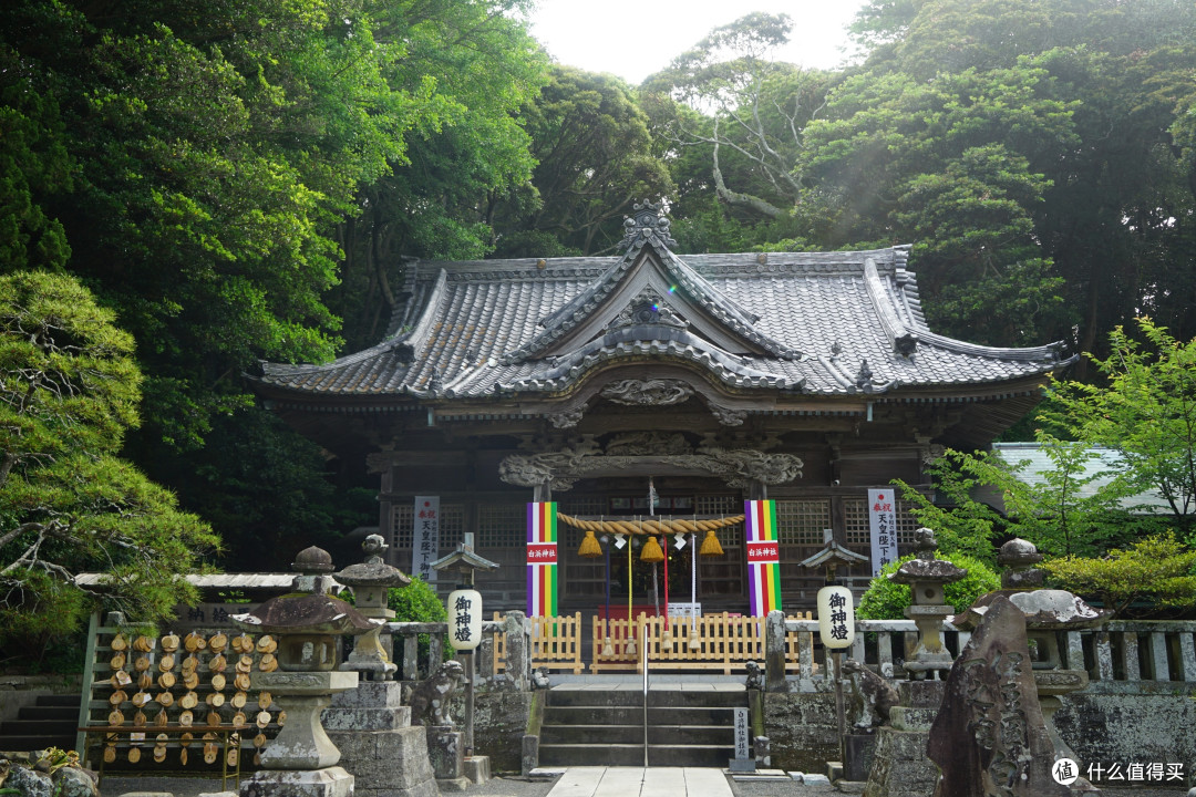 白滨神社，号称伊豆最古老的神社，神社里有一棵已经枯死数百年的树，形态很像从地里腾跃而出的龙，不过我们没有拍照。