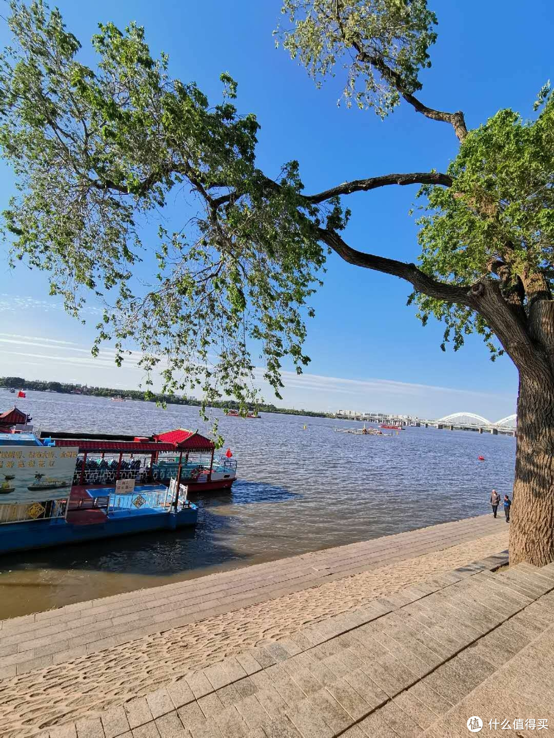 二胖的东北美食之旅