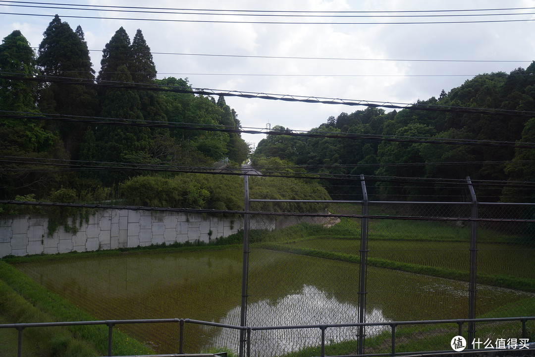 日系水田，但是围栏和电线太煞风景了。