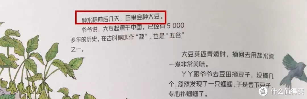 毛爸聊玩具:即使袁隆平推荐,这套书也还是可买可不买 | 团购纪检委