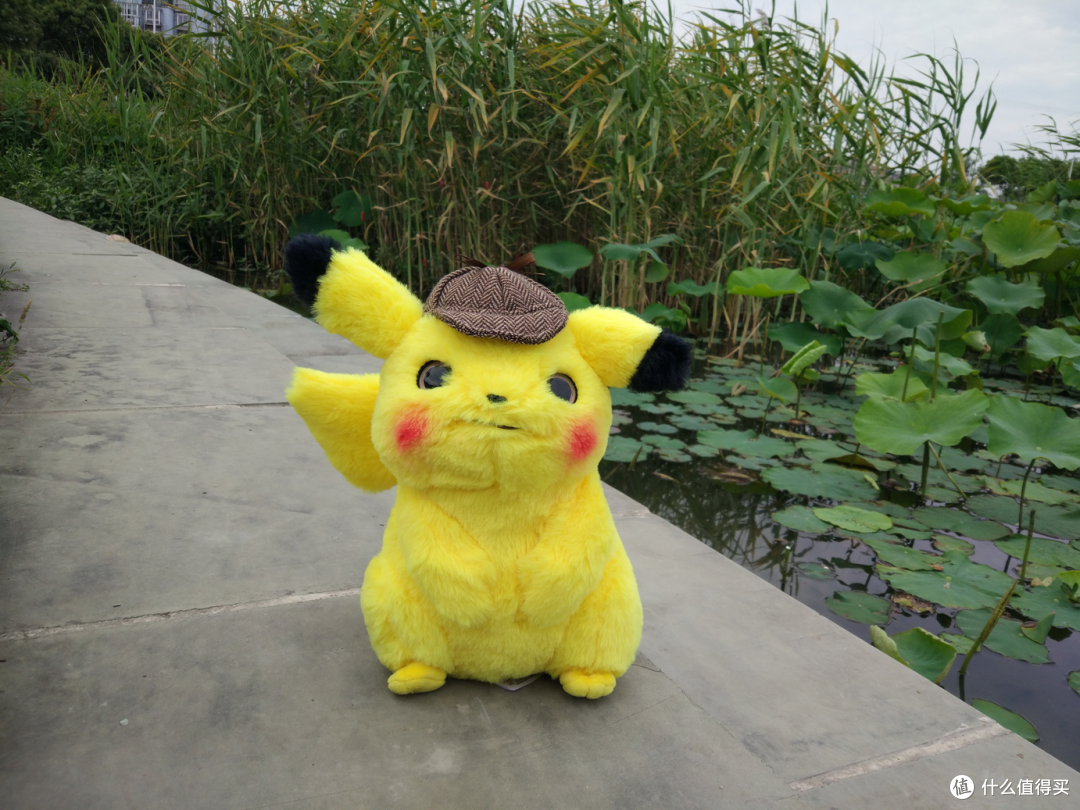 Pikabika~快看!草丛中钻出只皮卡丘