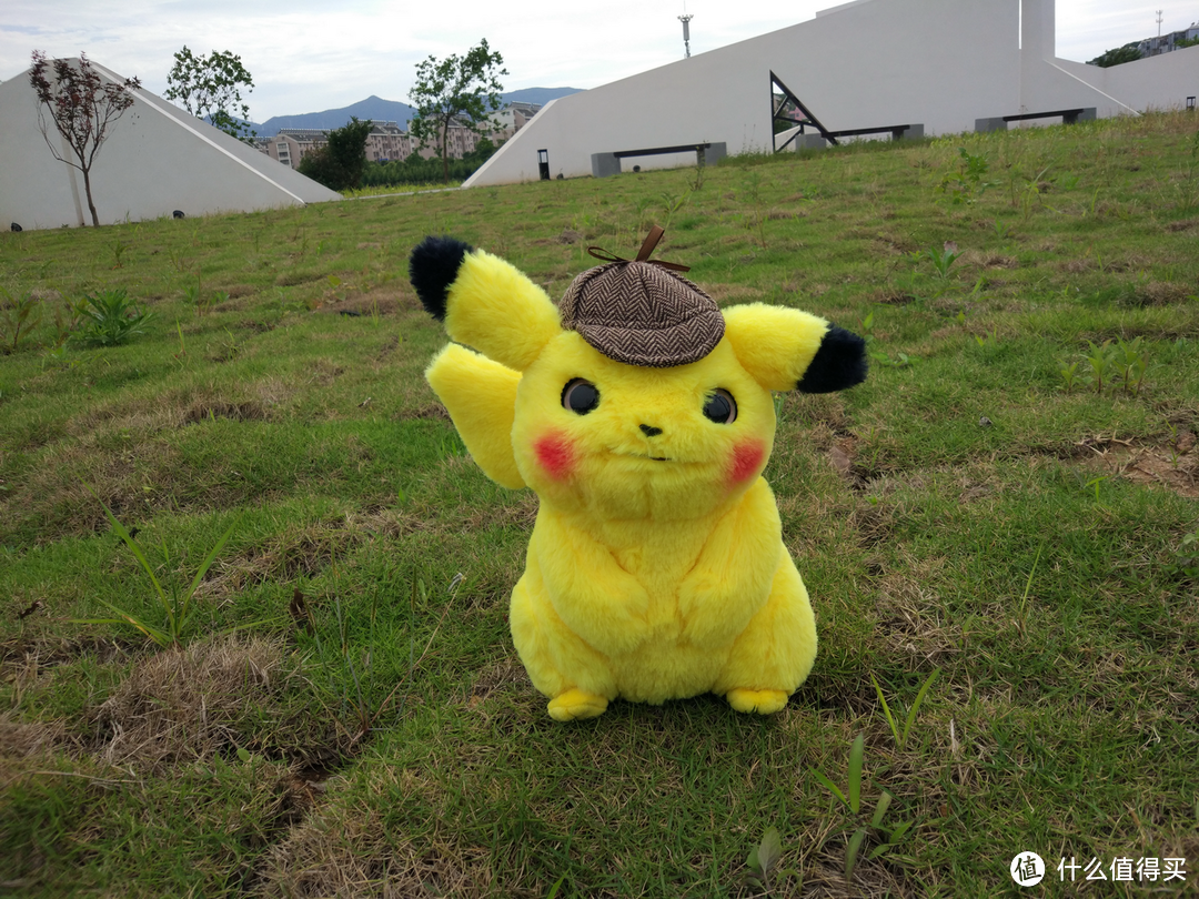 Pikabika~快看!草丛中钻出只皮卡丘
