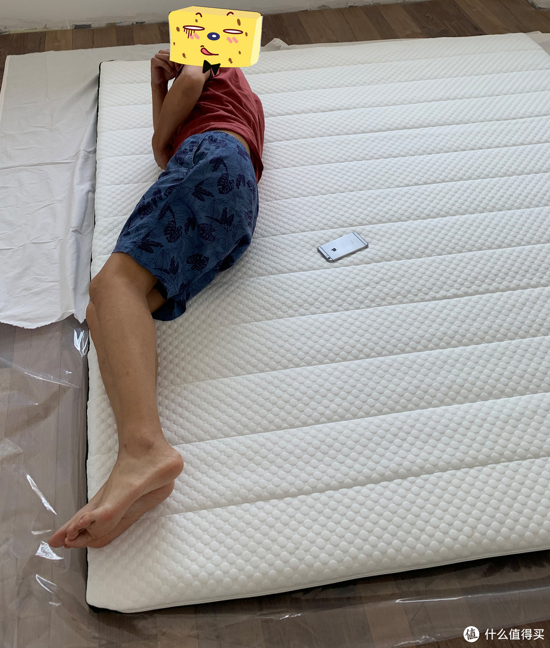 菠萝斑马的问候，空气纤维床垫让我们躺在了一起