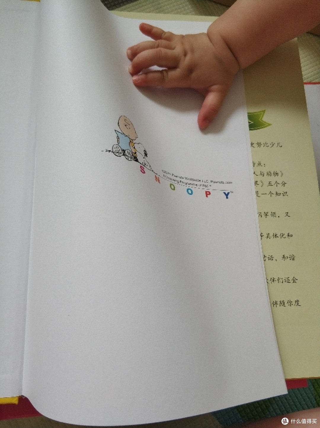 618体积最大，价格最便宜的战利品！