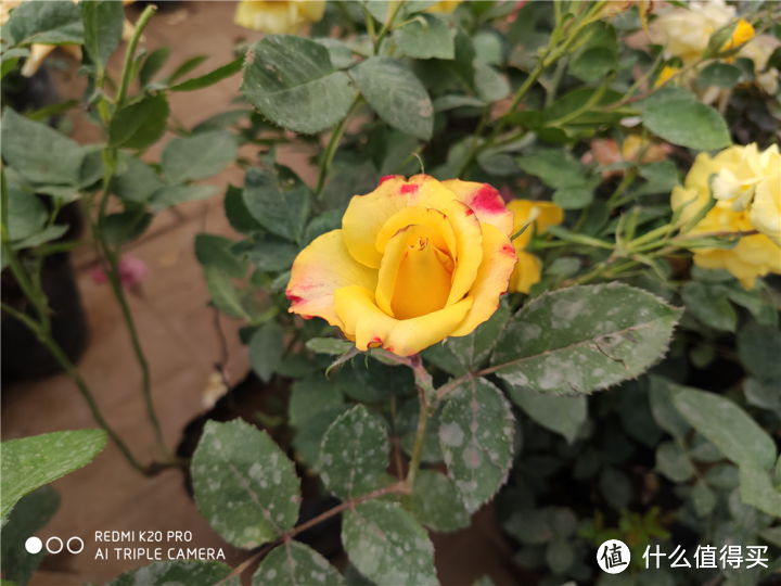 “大魔王”Redmi K20 Pro评测,看完你会入手吗?