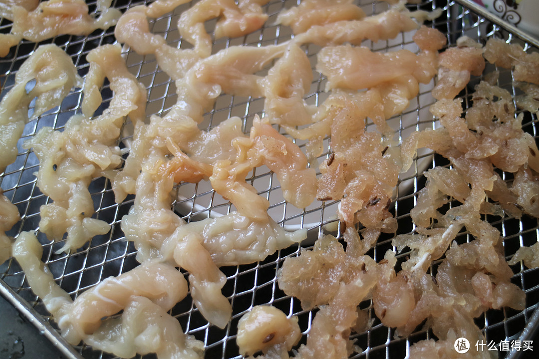 618成绩单:摩飞干果机,水果蔬菜肉类的另一种吃法利器